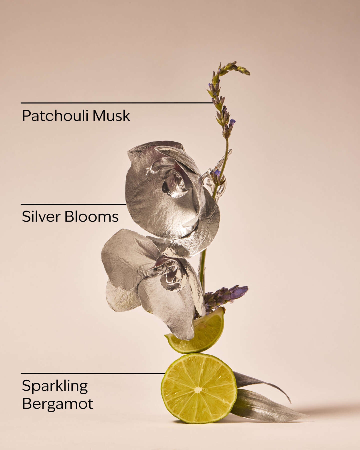 Platinum Body mist