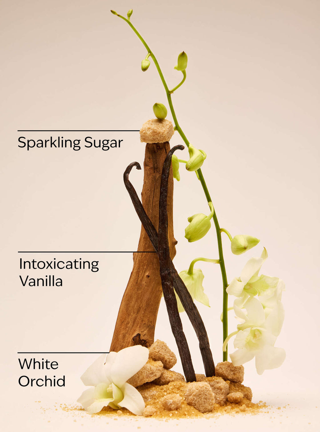 Warm Vanilla Sugar Body mist