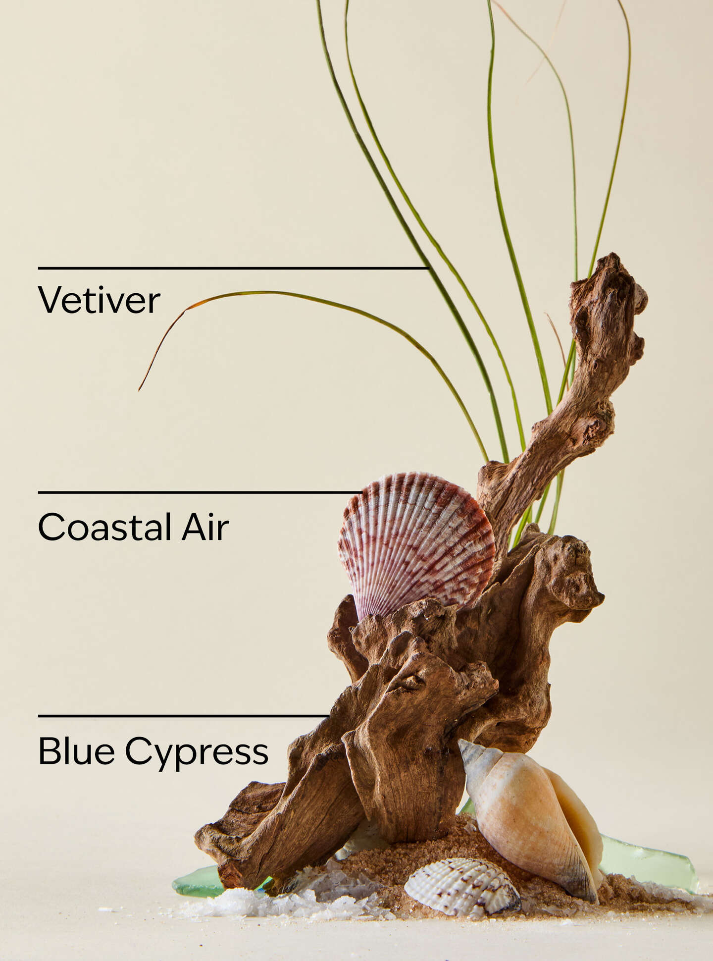 Ocean Body cream
