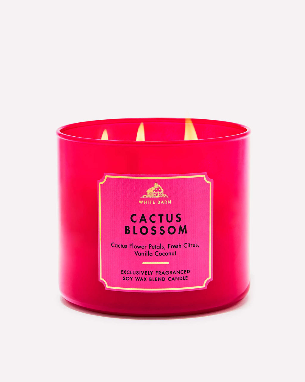 Cactus Blossom Vela
