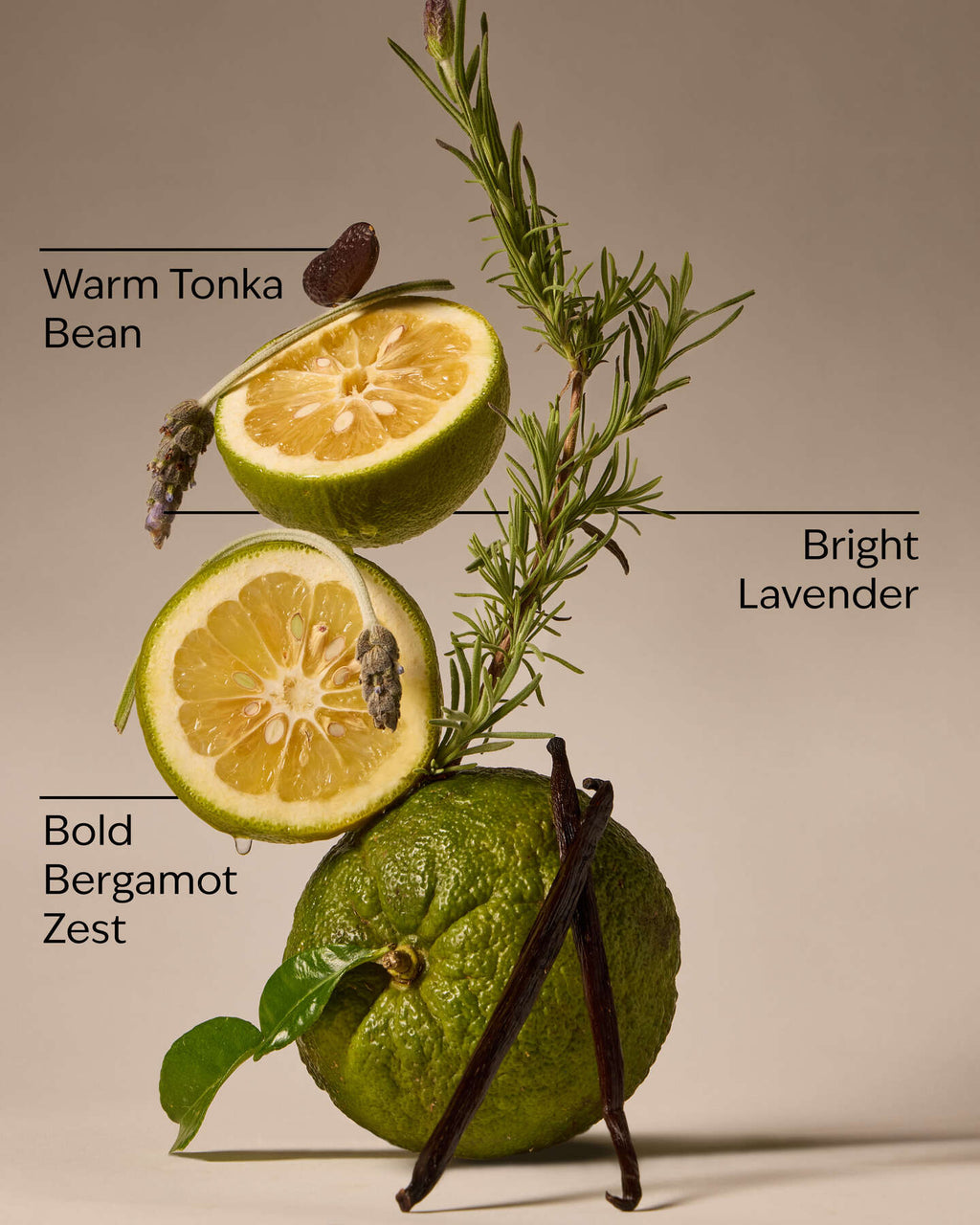 Lavender Bergamot Vela