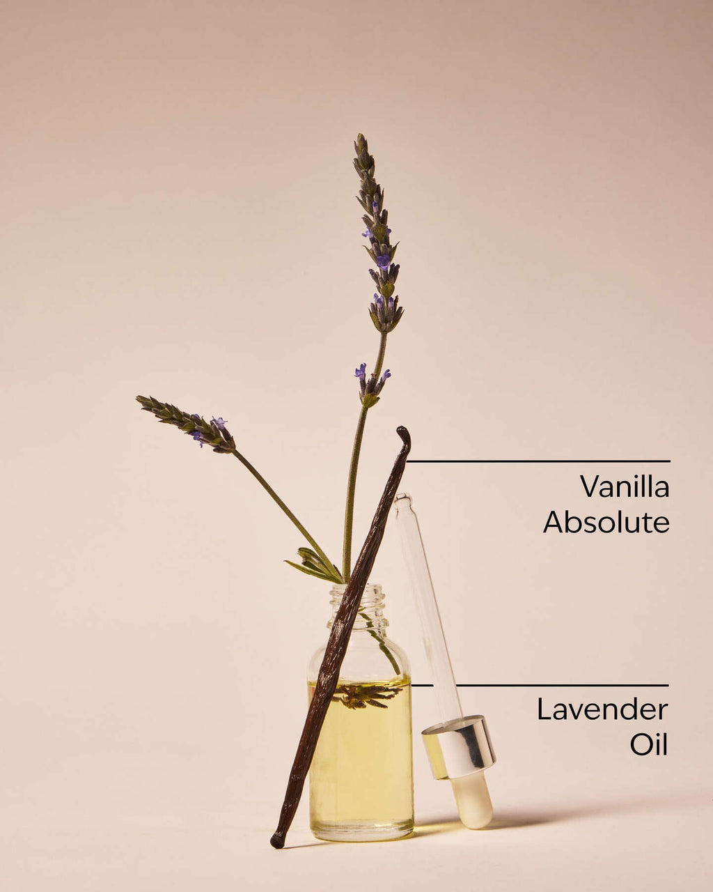 Lavender Vanilla Body cream