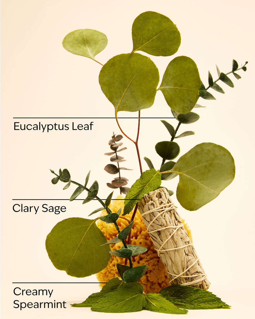 Eucalyptus Spearmint Essential Oil mist