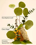 Eucalyptus Spearmint Essential Oil mist