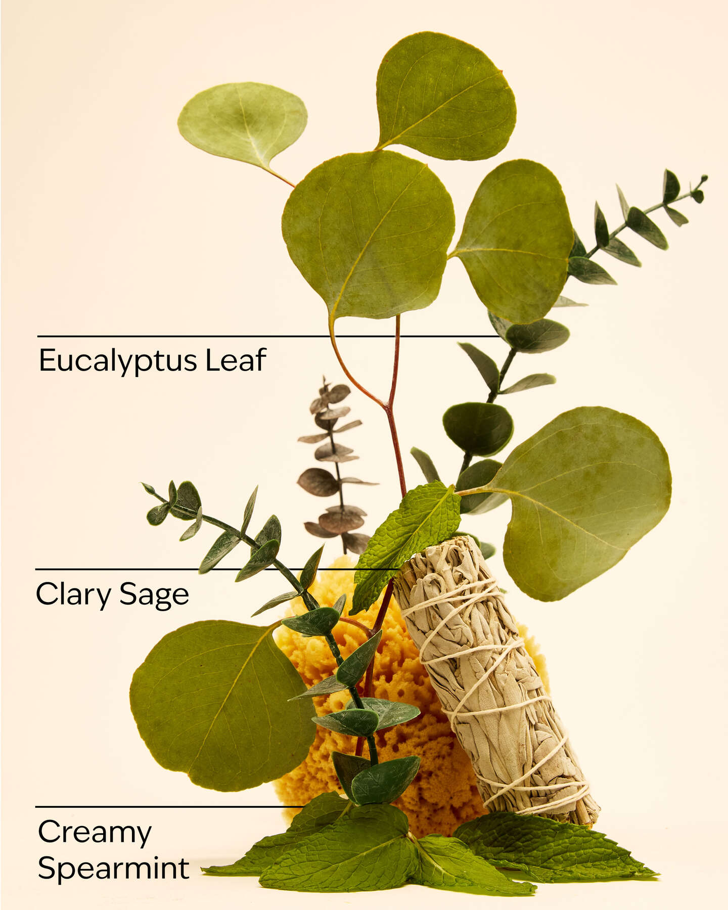Eucalyptus Spearmint Essential Oil mist