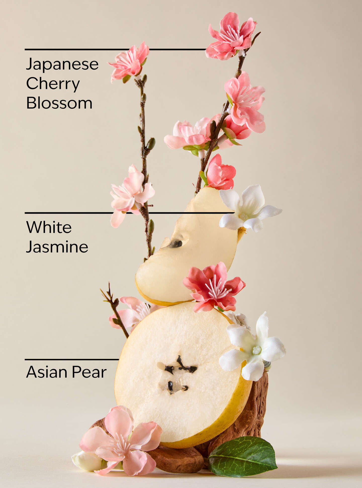 Japanese Cherry Blossom Body Lotion