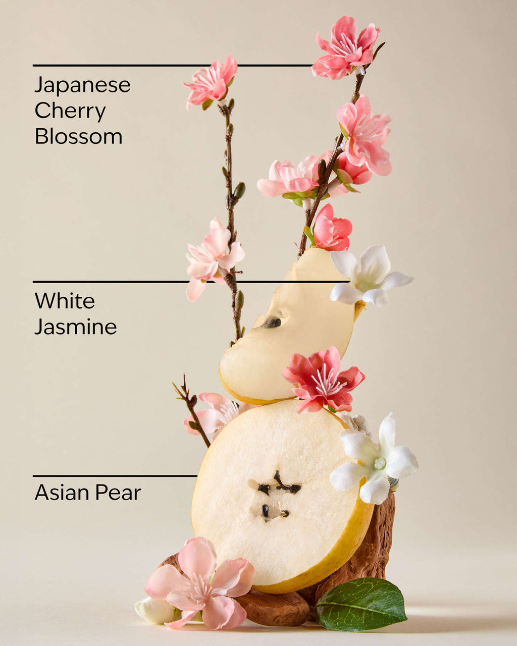 Japanese Cherry Blossom Body butter