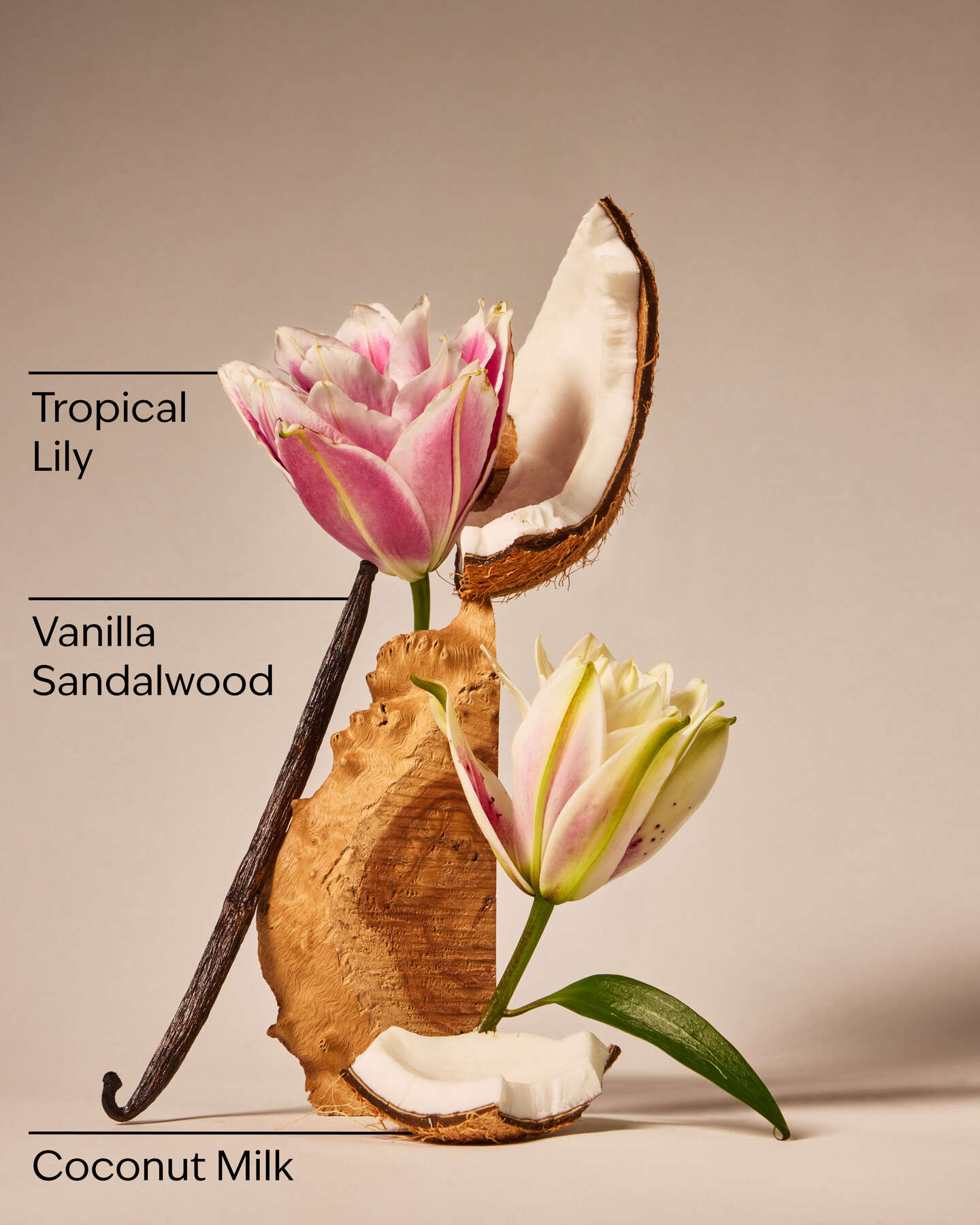 Eau De Coconut Body cream