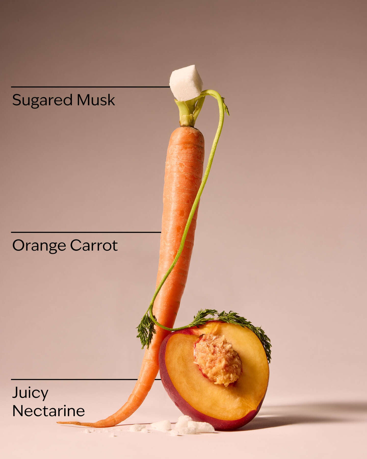 Carrot Charm Body cream
