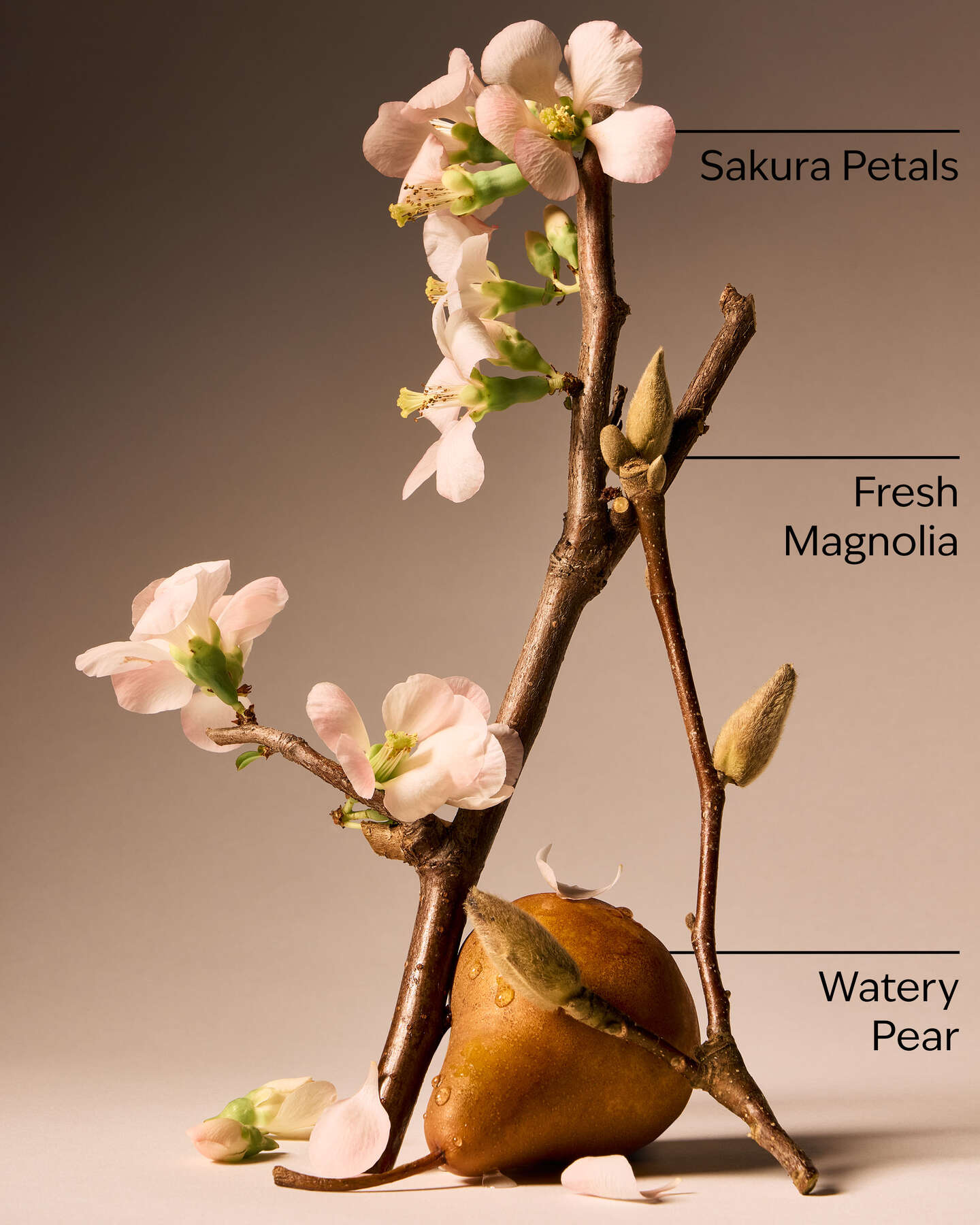 Forever Cherry Blossom Body butter