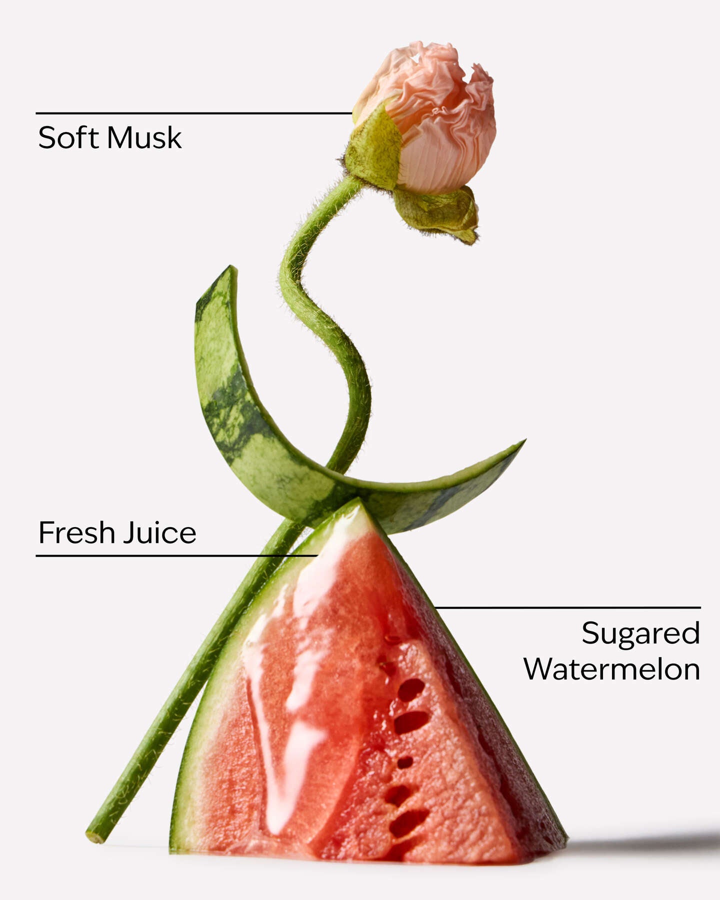 Watermelon Whirl Smooth Body Lotion