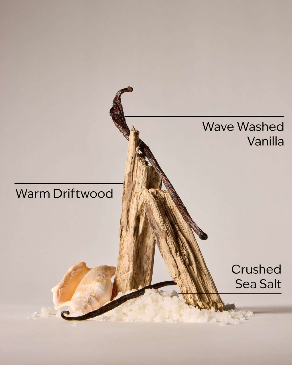 Coastal Dreaming Body Lotion