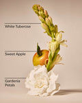 White Gardenia Vela