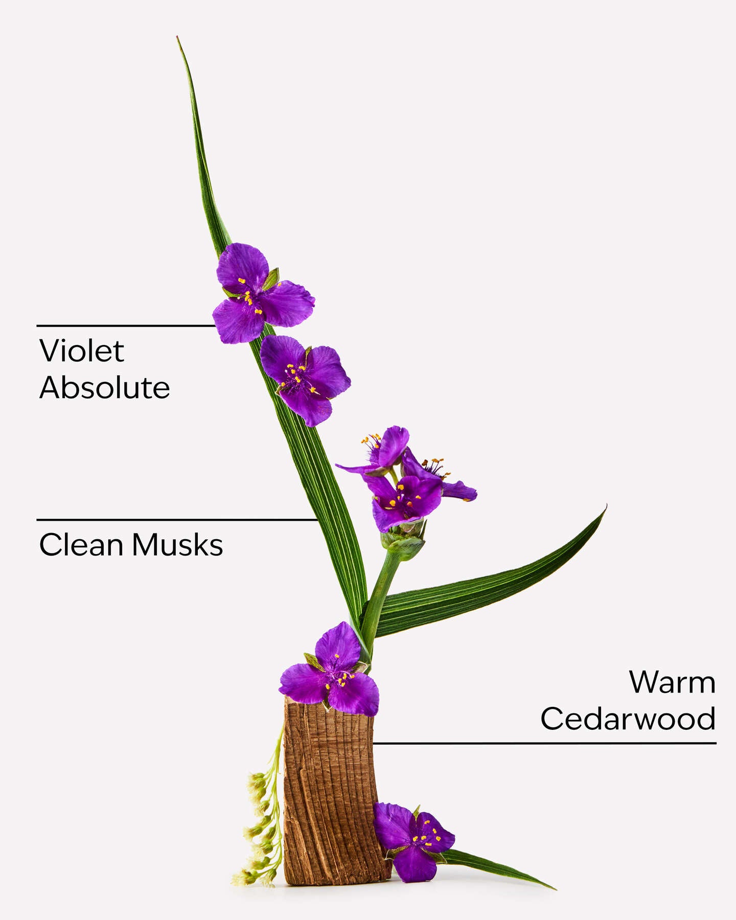 Very Violet Body mist