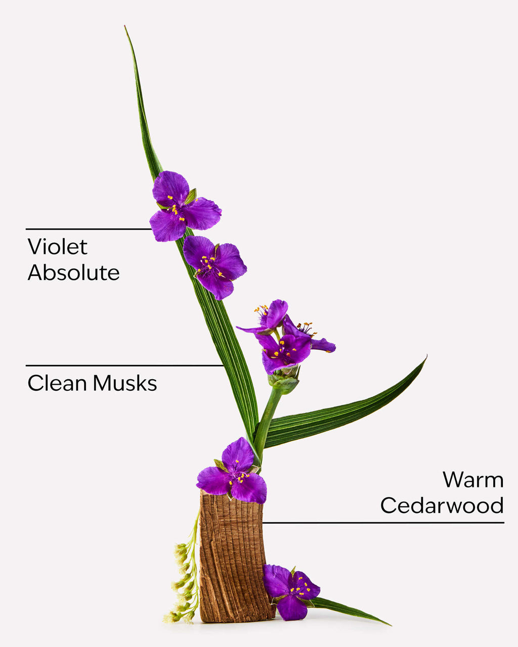 Very Violet Body cream