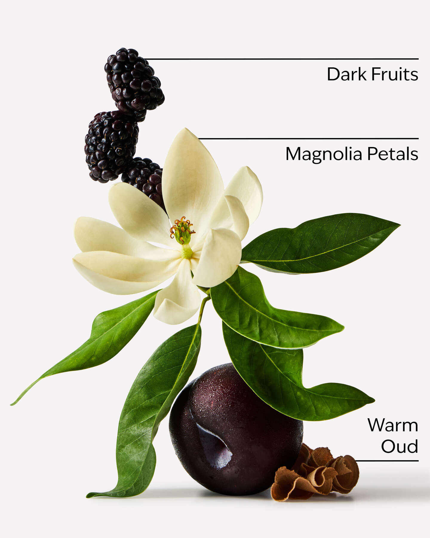 Oud Berry Body crean