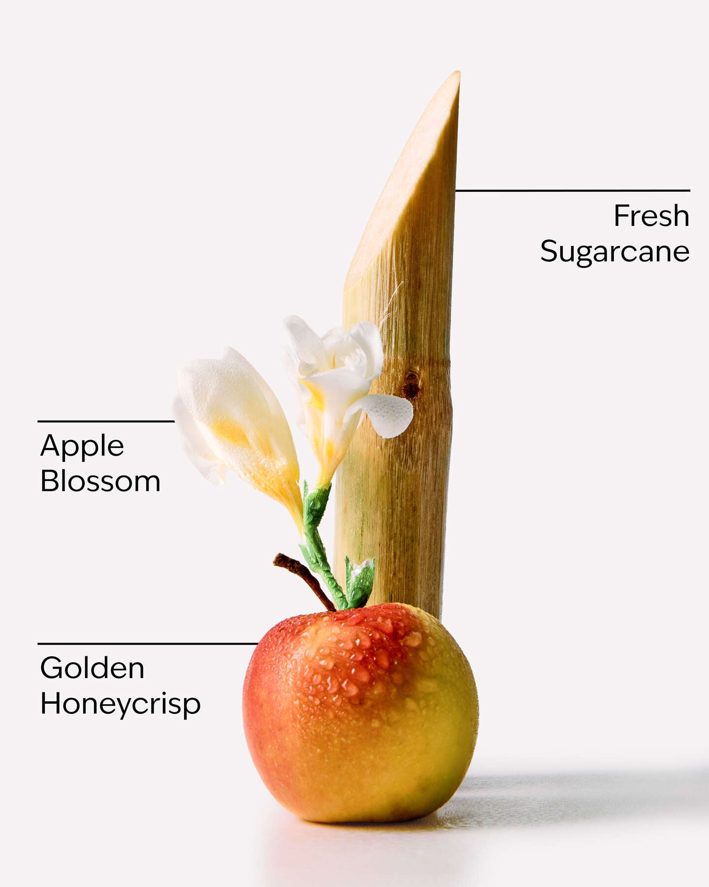 Honeycrisp Apple Vela
