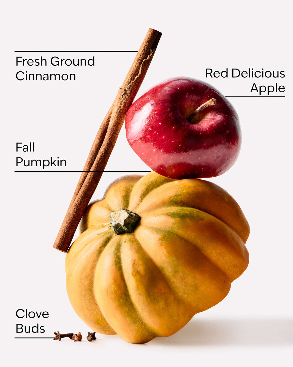 Pumpkin Apple Vela
