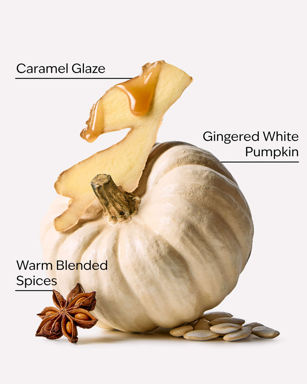 White Pumpkin Vela