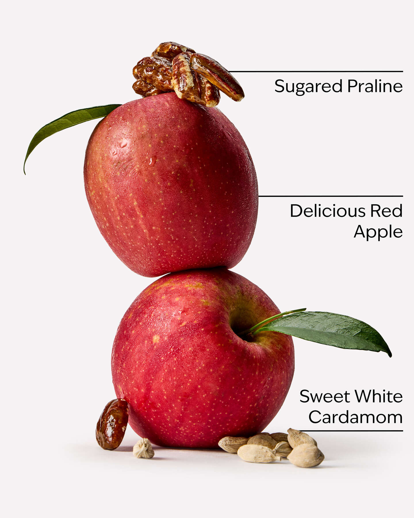 Apple Cinnamon Spice Vela