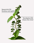 Eucalyptus Spearmint Body Lotion